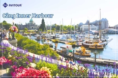 Du lịch Lễ 30/4 Liên Tuyến Canada: Tour Vancouver - Victoria - Richmond - Toronto - Thác Nước Niagara Falls - Ngàn Đảo - Kingston - Montreal - Ottawa - Quebec Từ Hà Nội 2026