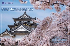 Du lịch Nhật Bản (Khai Xuân Bính Ngọ): Tour Tokyo - Phú Sĩ - Kyoto - Osaka từ Hà Nội 2026