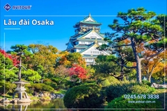 Du lịch Nhật Bản lễ 2/9: Tour Osaka - Kobe - Kyoto - Nagoya - Phú Sĩ - Tokyo từ Hà Nội 2025