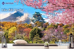 Du lịch Nhật Bản (Tết Âm Lịch 2026): Tour Tokyo - Phú Sĩ - Kyoto - Osaka từ Hà Nội 2026