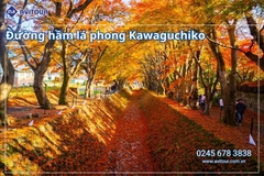 Du lịch Nhật Bản (Tết Dương Lịch 2027): Niigata - Aizu - Nikko - Tokyo - Phú Sĩ - Niigata từ Hà Nội