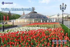 Du lịch nước Nga 2026: Tour Hà Nội - Moscow - Saint Petersburg từ Hà Nội