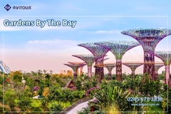 Du lịch Singapore 2026: Tour Sentosa - Madame Tussauds - Garden By The Bay - Jewel từ Hà Nội