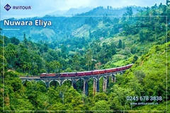 Du lịch Sri Lanka: Khám phá hòn ngọc Ấn Độ Dương 2026