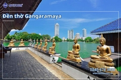 Du lịch Sri Lanka: Khám phá hòn ngọc Ấn Độ Dương 2026