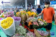 Du lịch Trung Quốc 2024| Hà Nội - Hà Khẩu - Kiến Thủy - Thạch Lâm - Côn Minh