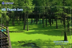 Du lịch Trung Quốc: Tour Đồn Khê - Hoàng Sơn - Tề Vân tiểu trấn ô trấn Tây Sách - Thượng Hải - Hàng Châu từ Hà Nội 2025