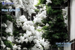 Du Lịch Trung Quốc: Tour Hà Nội - Phúc Châu - Tuyền Châu - Hạ Môn