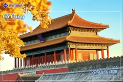 Du lịch Trung Quốc: Tour Vạn Lý Trường Thành - Cố Cung - Di Hòa viên - Bắc Kinh Hutong - Vương Phủ Tỉnh - phố Tiền Môn từ Hà Nội 2025