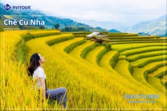 Du lịch Việt Nam: Tour Nghĩa Lộ - Tú Lệ Mù Cang Chải - Trạm Tấu từ Hà Nôi 2025