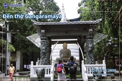 Du lịch Sri Lanka 2026: Khám Phá Xứ Tích Lan
