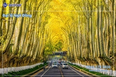 Du Lịch Hoa Đông 2027: Tour Hà Nội - Thượng Hải - Tô Châu - Tây Đường - Nam Kinh (No shopping)