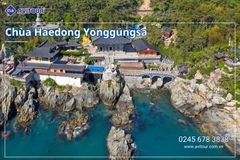 Du lịch Hàn Quốc 2026: Hà Nội – Busan – Seoul – Starfiled – Lotte Worf