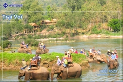 Ghé thăm Lào - Đất nước triệu voi | HÀ NỘI – VIENTIANE – LUANG PRABANG – HÀ NỘI
