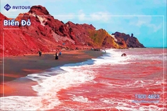 KHÁM PHÁ AI CẬP HUYỀN BÍ: CAIRO - BAHARIYA – ALEXANDRIA - ASWAN - LUXOR - BIỂN ĐỎ