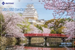 Khám phá Nhật Bản mùa hoa anh đào 2024| Hà Nội  - Osaka - Nagoya - Nara - Kyoto