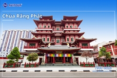 Khám phá Quốc đảo sư tử Singapore | HÀ NỘI – SINGAPORE – GARDEN BY THE BAY – TẮM BIỂN TRÊN ĐẢO SENTOSA - JEWEL – HÀ NỘI
