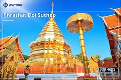 Khám phá Tam Giác Vàng ở Thái Lan 2024| Hà Nội - Chiang Mai - Chiang Rai
