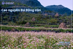 KHÁM PHÁ VÒNG CUNG ĐÔNG BẮC VIỆT NAM: HÀ NỘI – HÀ GIANG – CAO BẰNG – BẮC KẠN – HÀ NỘI