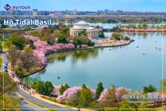 Du Lịch Liên Tuyến Đông Tây Hoa Kỳ (Rực Rỡ Hoa Anh Đào): Tour New York - Philadelphia - Delaware - Washington Dc - Las Vegas - Grand Canyon - Los Angeles - San Diego - San Jose - San Francisco Từ Hà Nội 2026