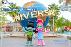 Du Lịch Liên Tuyến Đông Tây Hoa Kỳ (Rực Rỡ Hoa Anh Đào): Tour New York - Philadelphia - Delaware - Washington Dc - Las Vegas - Grand Canyon - Los Angeles - San Diego - San Jose - San Francisco Từ Hà Nội 2026