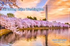 Du Lịch Liên Tuyến Đông Tây Hoa Kỳ (Rực Rỡ Hoa Anh Đào): Tour New York - Philadelphia - Delaware - Washington Dc - Las Vegas - Grand Canyon - Los Angeles - San Diego - San Jose - San Francisco Từ Hà Nội 2026