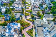 Du Lịch Liên Tuyến Đông Tây Hoa Kỳ (Rực Rỡ Hoa Anh Đào): Tour New York - Philadelphia - Delaware - Washington Dc - Las Vegas - Grand Canyon - Los Angeles - San Diego - San Jose - San Francisco Từ Hà Nội 2026