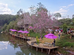 Du lịch Tây Nguyên | Tour Pleiku - Kontum - Măng Đen [4 Ngày 3 đêm]  Bay Bamboo Airways