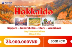 Du lịch Nhật Bản 2023| Khám Phá Hokkaido – Vùng Đất Vàng