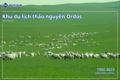 Ngỡ ngàng trước Nội Mông rộng lớn | ORDOS – SA MẠC VỌNG ÂM – THẢO NGUYÊN ORDOS – NGÂN XUYÊN – THỦY ĐỘNG CÂU – CÔNG VIÊN LANSHAN – PHIM TRƯỜNG PHƯƠNG TÂY