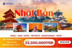 Du lịch Nhật Bản 2023| Osaka – Nara - Kyoto – Fuji Moutain – Oshino Hakkai – Tokyo