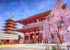 Du Lịch Nhật Bàn | TOKYO – PHÚ SỸ - NAGOYA – KYOTO – OSAKA [6 Ngày 5 Đêm] Bay VietjetAir