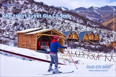 VI VU TẾT DƯƠNG TRÙNG KHÁNH - TỪ KHÍ KHẨU CỔ TRẤN HỒNG NHAI ĐỘNG - CÔNG VIÊN GẤU TRÚC CỬU TRẠI CÂU - TRƯỢT TUYẾT GIA CÔ SƠN