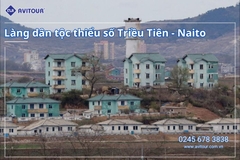 VUI TẾT DƯƠNG LỊCH 2025 DU LỊCH THẨM DƯƠNG - TRƯỜNG BẠCH SƠN - DIÊN CÁT - TRƯỜNG XUÂN