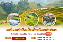 Yên Bái mùa lúa Vàng 2024: HÀ NỘI – NGHĨA LỘ - TRẠM TẤU – TÚ LỆ - MÙ CANG CHẢI – HÀ NỘI