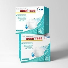 Bush TS95 (H/10c)