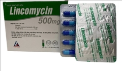 Lincomycin 500mg (h/10vi/100 viên)