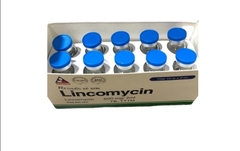 Lincomycin 600mg/2ml
