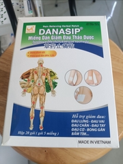Miếng dán giảm đau thảo dược Danasip (H/20 gói x 5 miếng)
