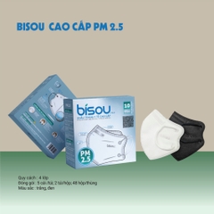PM 2.5
