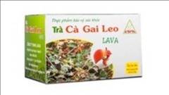 Trà cà gai leo lava