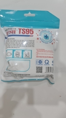 Bush TS95