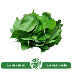 Lá giang hữu cơ - Kg