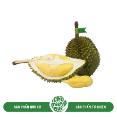 Sầu riêng RI6 WAOFOOF