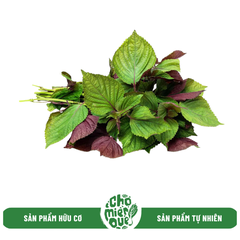 Tía tô hữu cơ - Kg