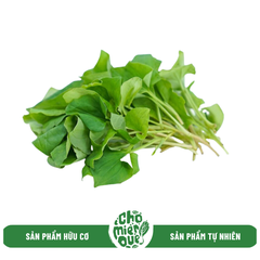 Diếp cá hữu cơ - Kg