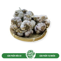 Tỏi Bắc Sx Hữu Cơ