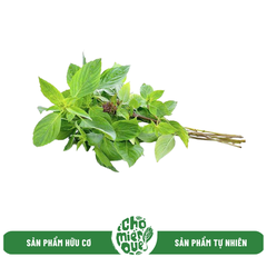 Rau mầm sx hữu cơ - Kg