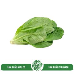 Romaine baby hữu cơ - 250gr