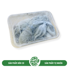 Bạch tuộc - Kg